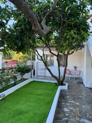 Caramela house