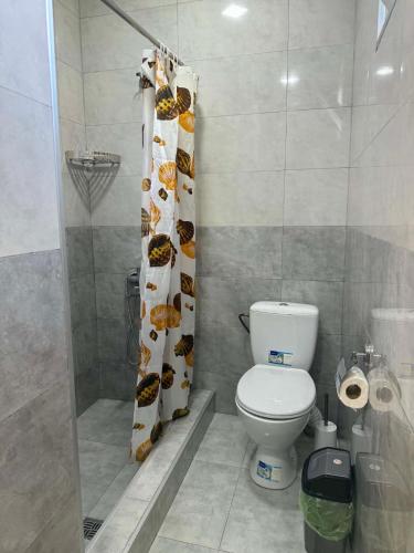a bathroom with a toilet and a shower curtain at Inn David in Chakvi