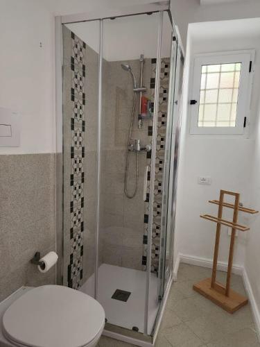 a bathroom with a shower with a toilet in it at Casa Annina in Basilicata in Trivigno