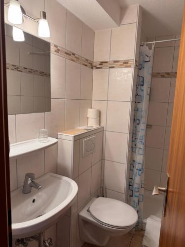 a small bathroom with a toilet and a sink at Hotel-Restaurant Maien in Todtmoos