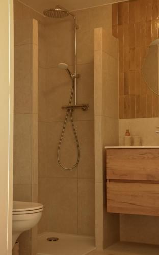 a bathroom with a shower with a toilet and a sink at B&B Bistro Lochem in Lochem