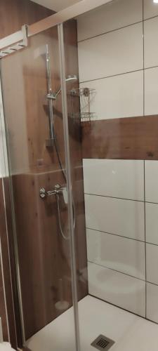 a shower with a glass door in a bathroom at Gorsko zavetje Cottage in Soča
