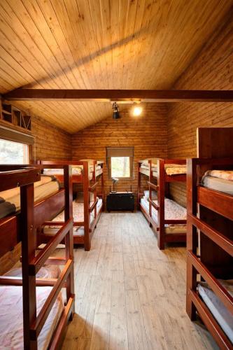 a room with several bunk beds in a cabin at Cabana Manea Forest Hub in Topleţ