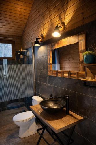 a bathroom with a sink and a toilet at Cabana Manea Forest Hub in Topleţ