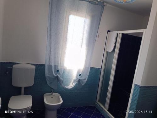 a bathroom with a toilet and a window and a shower at La casetta del poggio in Poggio a Caiano