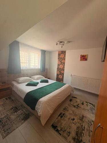 a bedroom with a bed and a window at Pensiunea Alex in Borsa