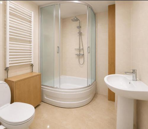 a bathroom with a shower and a toilet and a sink at Pensiunea Alex in Borsa
