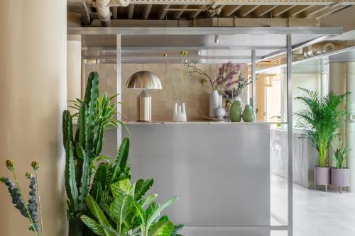 a room with potted plants on a shelf at Locke at Broken Wharf in London