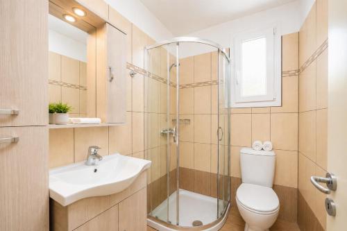 a bathroom with a shower and a toilet and a sink at Villa Magda Dione in Gaios