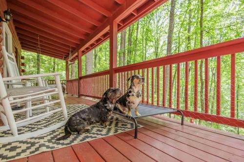 two dogs sitting on a bench on a porch at Re-Up Retreat King Bed, Hot Tub, Zero Pet Fees in Whittier