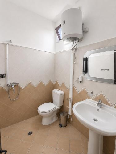 a bathroom with a toilet and a sink at Hotel Danja in Laç