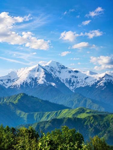 a snow covered mountain range with trees in the foreground at Shahdag Berghoff Villas in Qusar