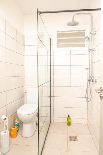 a bathroom with a shower and a toilet at Villa Syleone in Sainte-Marie