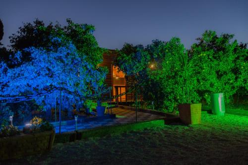 una casa con luces azules delante de algunos árboles en Asbn Magic Garden, en Acre