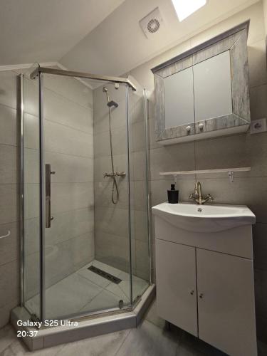 a bathroom with a shower and a sink at Pensiunea Daria Putna in Putna