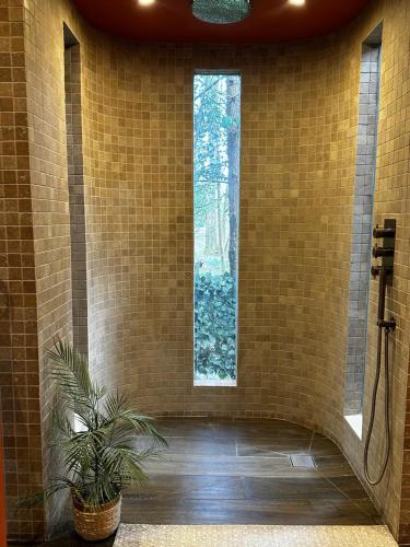 a bathroom with a window and a potted plant at Tree Top & Bluebell Cottages in Grange Road Station