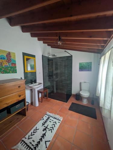 ein Badezimmer mit Dusche, Toilette und Waschbecken in der Unterkunft Casa do Lenho in Achadinha