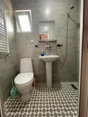 a bathroom with a toilet and a sink at Bakuriani Mtis 6 in Bakuriani