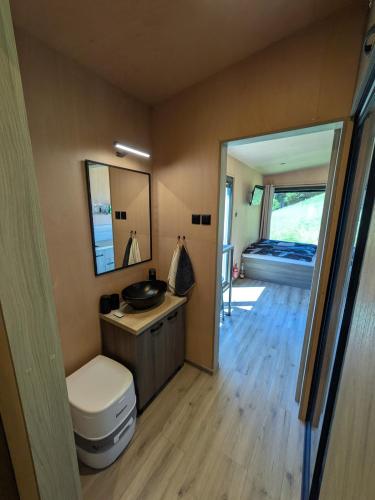 a bathroom with a toilet and a sink and a mirror at Tiny House Dedinky in Dedinky