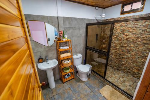 a bathroom with a toilet and a sink at Jacaranda House, rustic, Private Pool in Talamanca