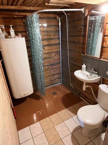 a bathroom with a shower and a toilet and a sink at Järvenukka Puhkemaja in Ähijärve
