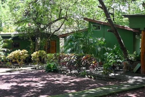 a garden in front of a green building with plants at Beach-Front Bungalow in El Gigante