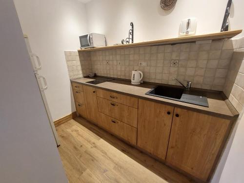 a kitchen with a sink and a counter at Penzion Manský Dvůr in Dolní Žandov