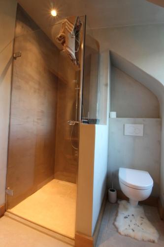 a bathroom with a shower with a toilet at B&B de ZIL in Herselt