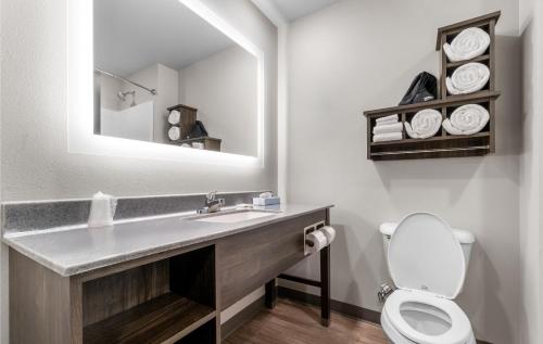 a bathroom with a sink and a toilet and a mirror at My Place Hotel-Jonesboro, AR in Jonesboro