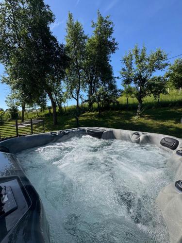 a hot tub filled with water with trees in a field at La casa de Nora in Duga Resa