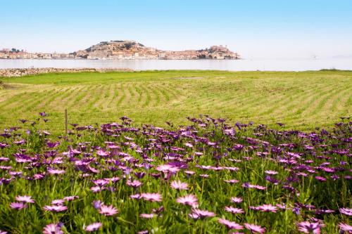 Gallery image of Appartamento Podere San Marco in Portoferraio
