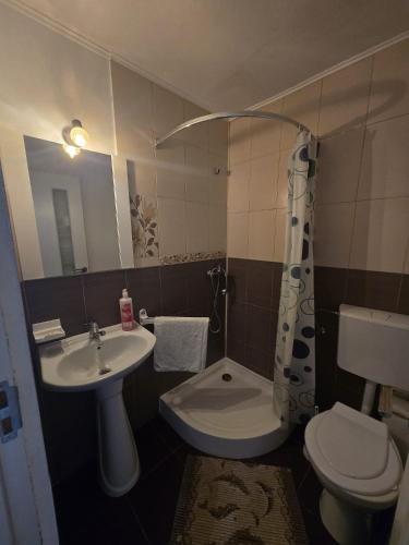 a small bathroom with a sink and a toilet at Vila Mihnea in Moieciu de Jos