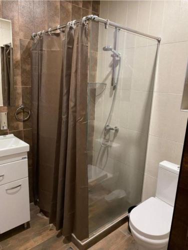 a bathroom with a shower and a toilet at Kechi home 6 in Tsaghkadzor