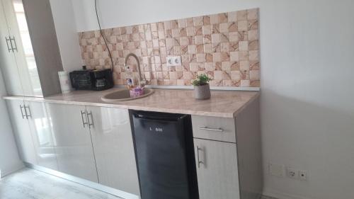 a kitchen with a sink and a black dishwasher at Garsoniera Adriana in Mangalia