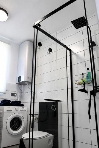 a bathroom with a toilet and a washing machine at Fenyves Flow Apartman 1 in Balatonfenyves