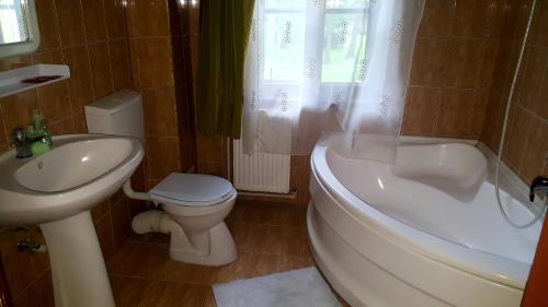 a bathroom with a sink and a toilet and a bath tub at Dofteana Park in Leorzeni