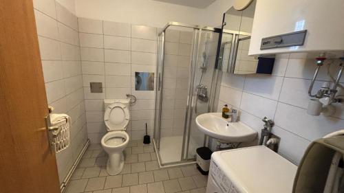 a bathroom with a shower and a toilet and a sink at Alina in Graz
