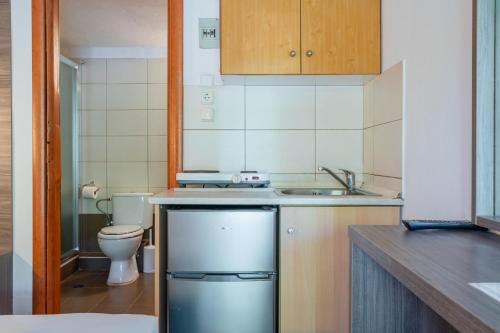 a small kitchen with a sink and a toilet at Studios Vaso in Neos Marmaras