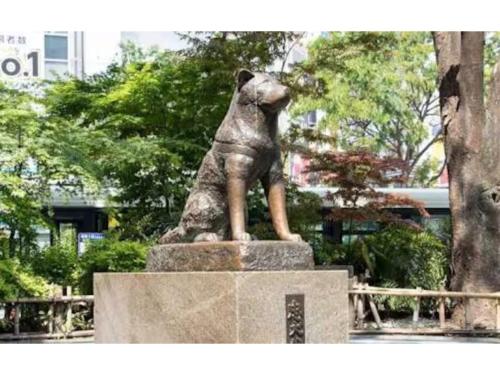 Touwa exile Dogenzaka - Vacation STAY 22730