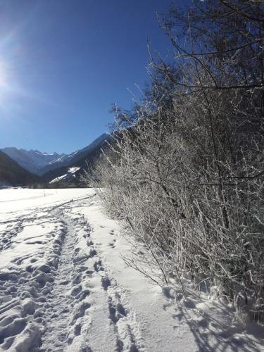 a snow covered field with footprints in the snow at Alpenecho in Neustift im Stubaital