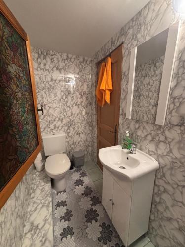a bathroom with a toilet and a sink at Cabana Patru Anotimpuri in Rîmeţi