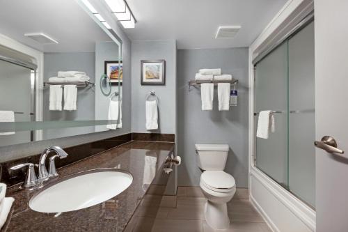 a bathroom with a sink and a toilet and a mirror at Best Western Belleville in Belleville
