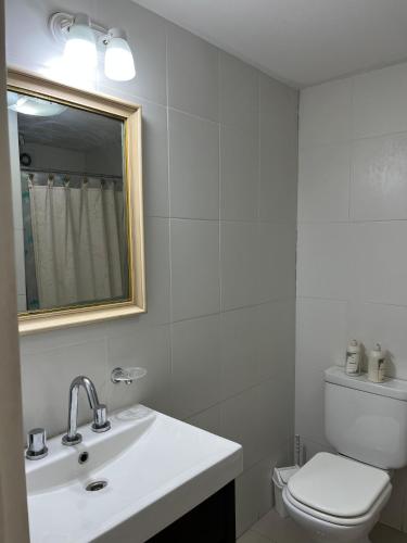a bathroom with a sink and a toilet and a mirror at Blandengues 55 in Bahía Blanca