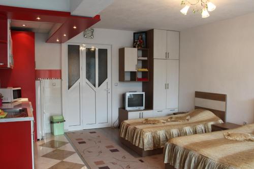a room with two beds and a tv in it at Orchideia Studios in Sandanski