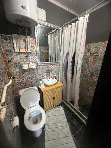a small bathroom with a toilet and a sink at Rio II in Zrenjanin