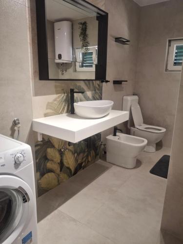 a bathroom with a sink and a toilet at Apartmani Agard in Brodarica