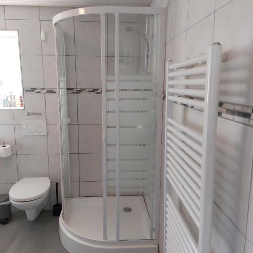 a white bathroom with a shower and a toilet at Das Zimmer - Bauernhof-Nordsee-Urlaub in Norderfriedrichskoog