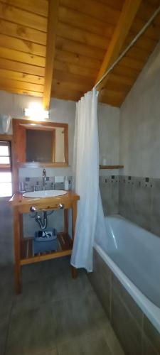 a bathroom with a bath tub and a sink at Matices Patagonicos in San Carlos de Bariloche