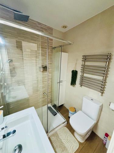 a bathroom with a toilet and a shower and a sink at La Casita cerca de la playa in Santander