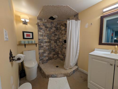 a bathroom with a shower with a toilet and a sink at Denver Oasis 5BR Home with Hot Tub, Sleeps 16 in Denver